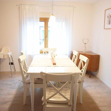 Ob Ferienwohnung Sensbachtal Unter-Sensbach Exterior photo
